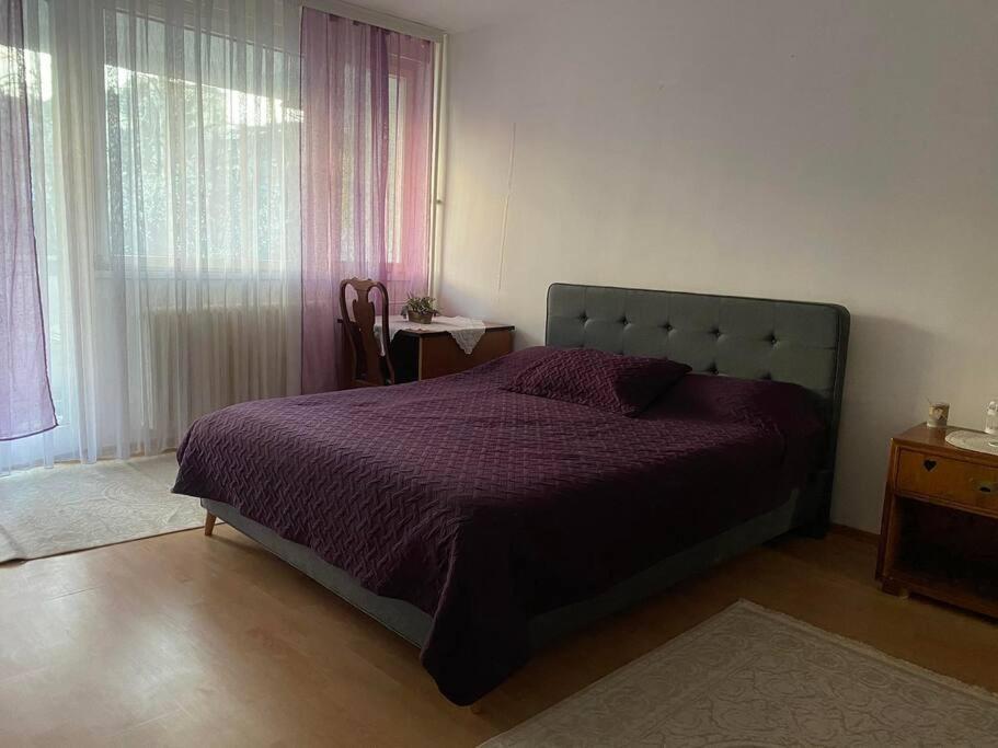 Apartmán Pristina'S Hidden Gem Exteriér fotografie